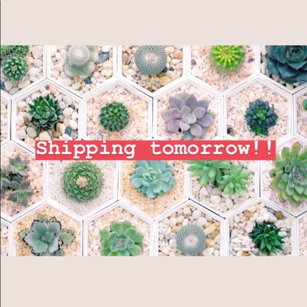 Shipping out packages tomorrow!!!
